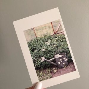 🌻10/$10🌻 Postcard Wall Deco Picture Wall